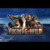 Превью Vikings Go Wild